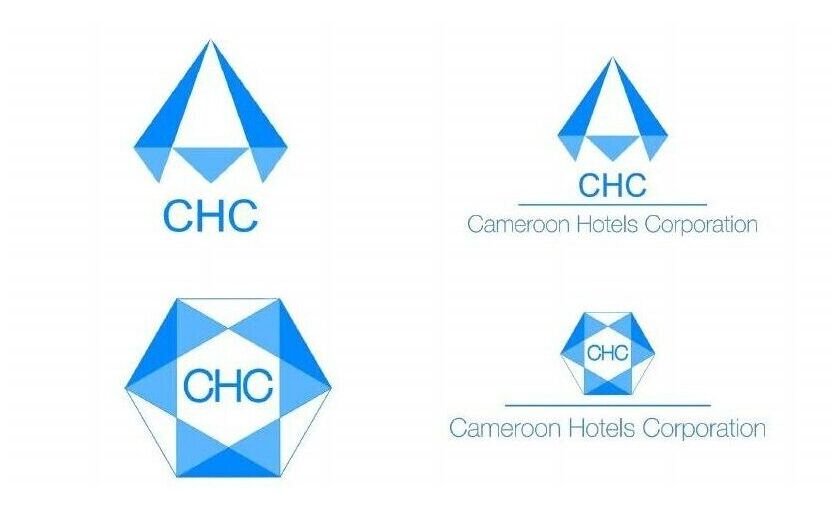 Quatre des six propositions de logo fondées sur le diamant bleu.